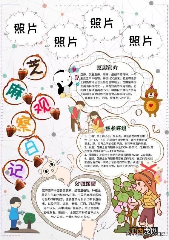 走进大自然手抄报资料 走进大自然手抄报