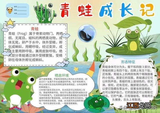 走进大自然手抄报资料 走进大自然手抄报