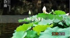 hcg小于2.39是什么意思 hcg小于2