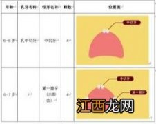 儿童换牙时间