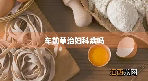 最厉害的老中医治妇科 车前草治妇科病吗