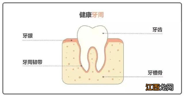 填充牙缝多少钱啊 有牙缝怎么修复