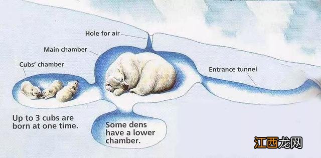 冬天为什么会下雪还能提出什么问题 冬天为什么会下雪