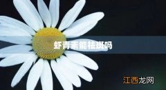 虾青素有祛斑的功效吗 虾青素能祛斑吗