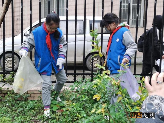 我梦想中的农场手抄报 农场手抄报