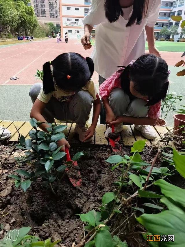 我梦想中的农场手抄报 农场手抄报