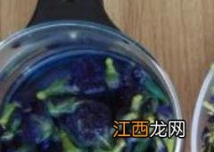 蓝蝴蝶花茶的功效与作用及禁忌 蓝蝴蝶花茶的功效与作用