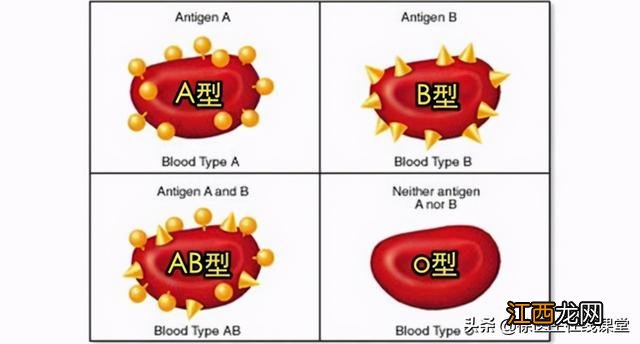 o型血和ab型血容易怀孕吗 o型血和ab型血