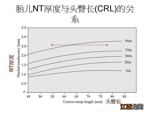 头臀径是指什么50mm 头臀径是指什么