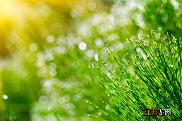 初秋孟浩然拼音版图片 古诗 初秋孟浩然拼音版