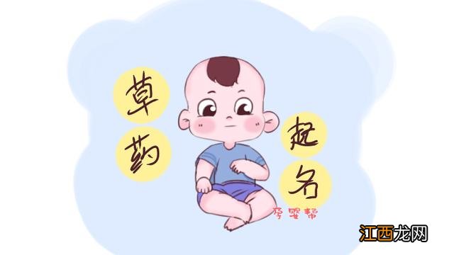 孩子小名大全女孩 孩子小名大全