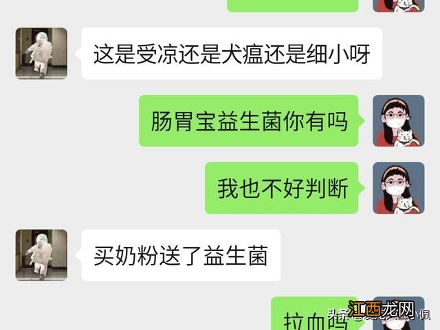 小狗细小症状怎么治 小狗细小症状