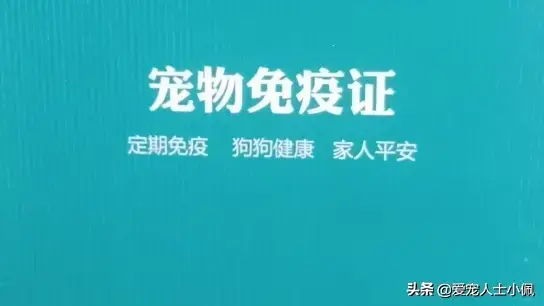 小狗细小症状怎么治 小狗细小症状