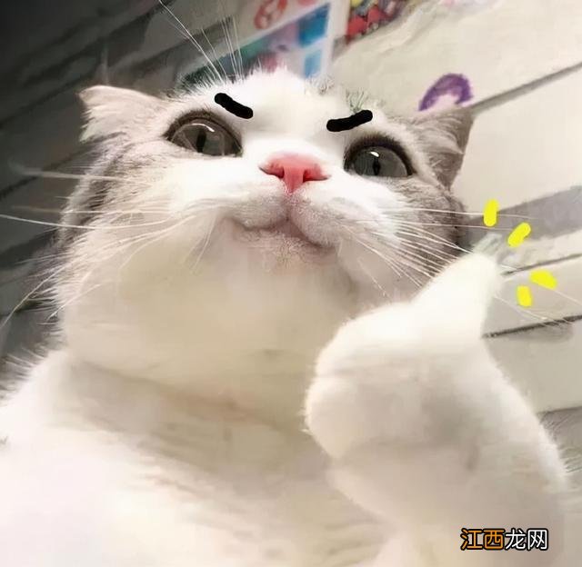 小红象洗发沐浴露怎么样 沐浴露洗头可以吗