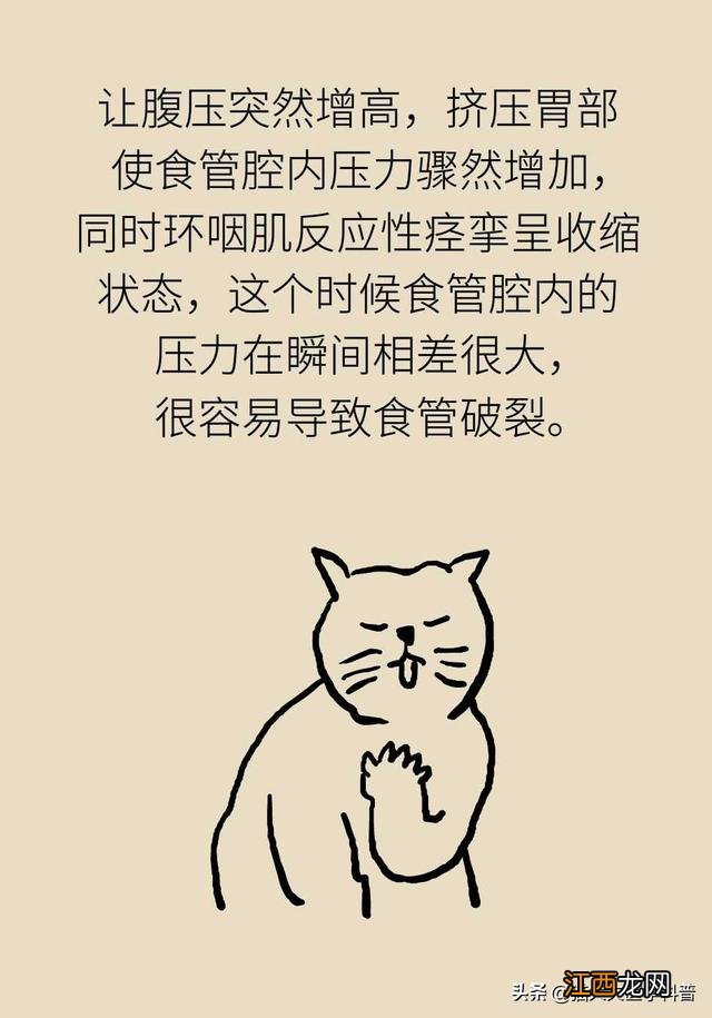 伤心过度有什么症状 哭到想吐怎么回事