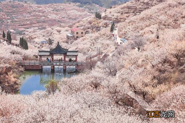 带花字的诗句 带江字的诗句