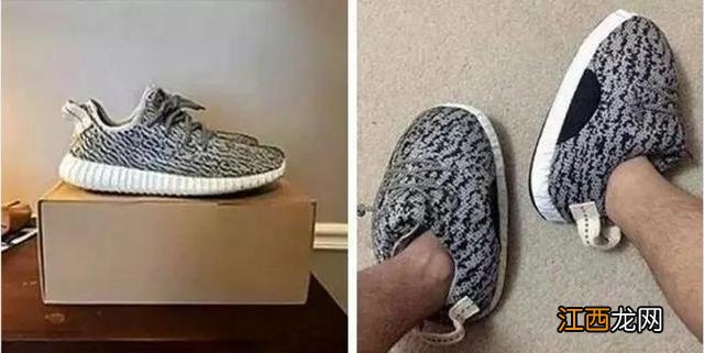 蛋白粉排行 蛋白粉排名