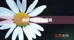 刚怀孕能吃韭菜吗? 刚怀孕能吃韭菜吗