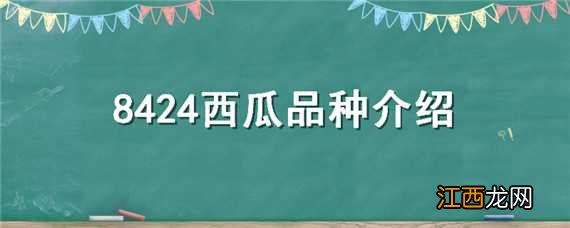 8424西瓜新品种 8424西瓜品种特点