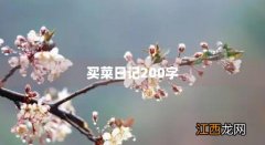 买菜日记200字格式 买菜日记200字