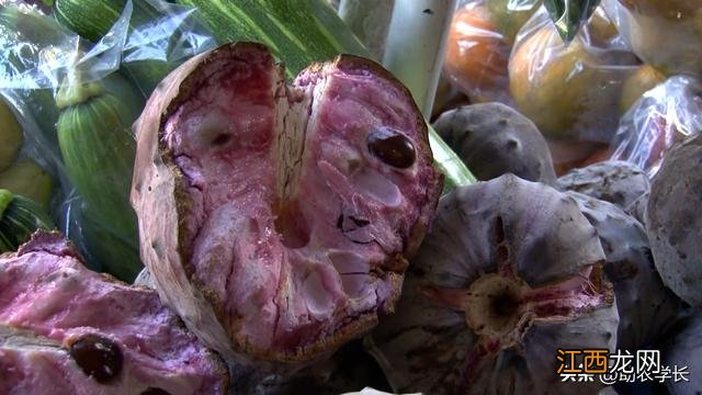 刺果番荔枝 刺番荔枝