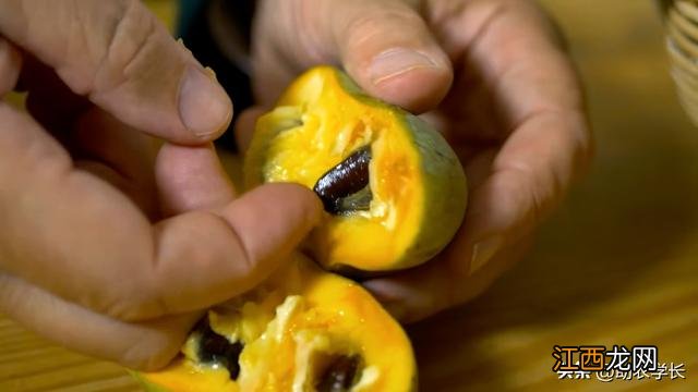 刺果番荔枝 刺番荔枝