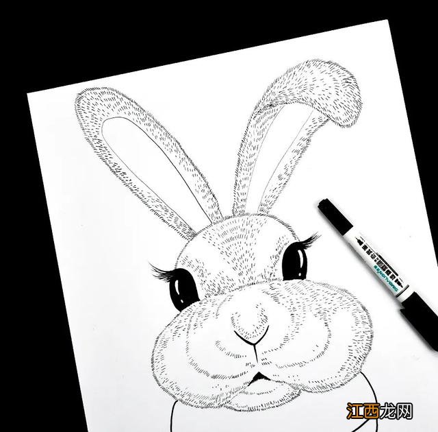 简单画小动物 学画小动物