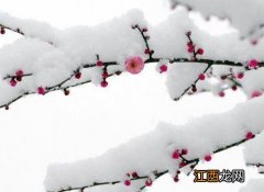 山中雪后古诗郑燮 山中雪后