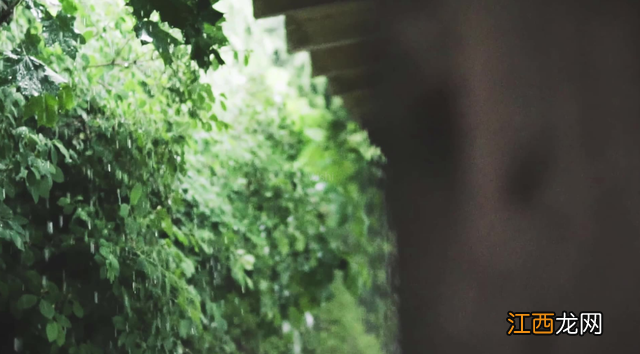落雨的诗句 赞美夏雨的诗句