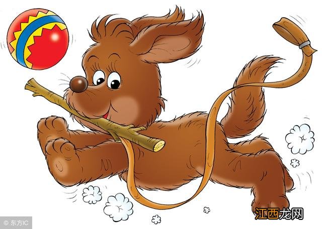 十二生肖儿歌顺口溜拼音版 十二生肖儿歌