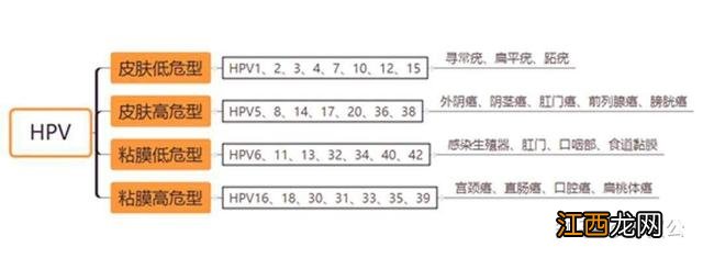 跖疣有啥影响 跖疣的危害有哪些