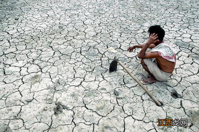 2022是虎年吗 2022是个什么年