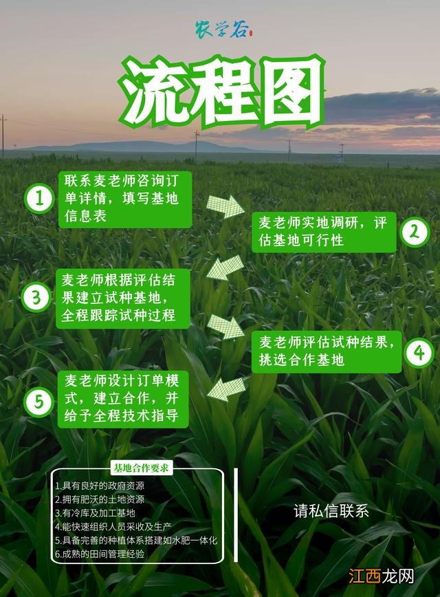 水果玉米可以直接生吃吗 水果玉米可以生吃吗