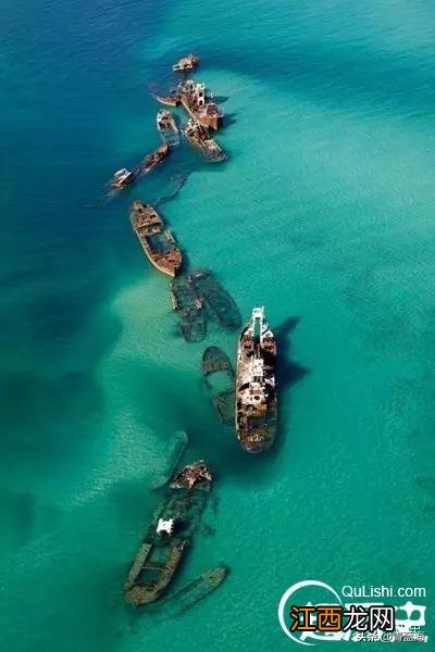 大象会游泳吗 马会游泳吗