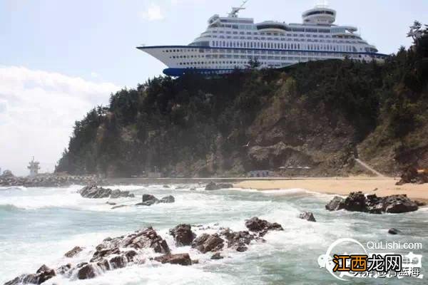 大象会游泳吗 马会游泳吗