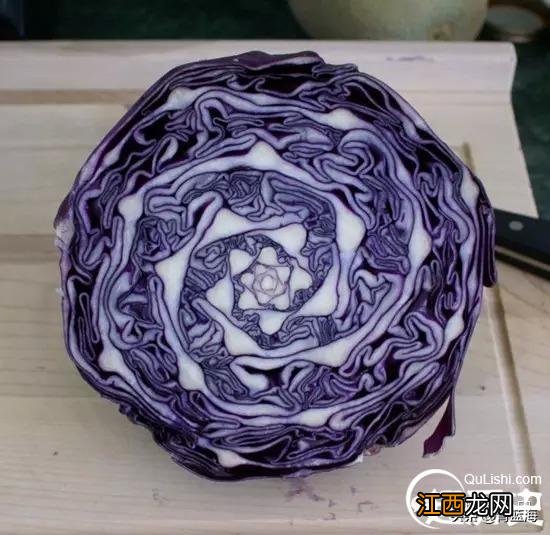 大象会游泳吗 马会游泳吗