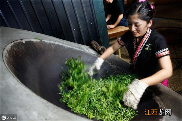 普洱茶是绿茶吗? 普洱茶是绿茶吗