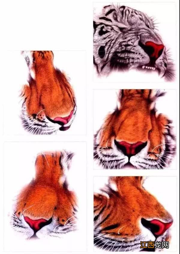 湖怎么画 虎怎么画