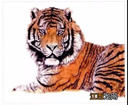 湖怎么画 虎怎么画