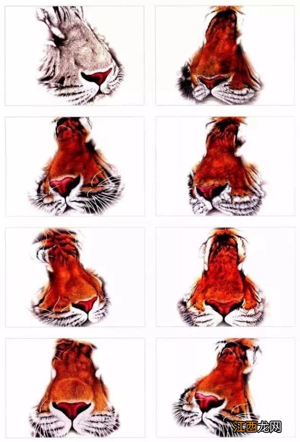 湖怎么画 虎怎么画