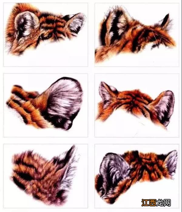 湖怎么画 虎怎么画