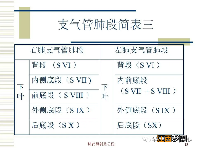 心脏在人体什么位置 心脏示意图