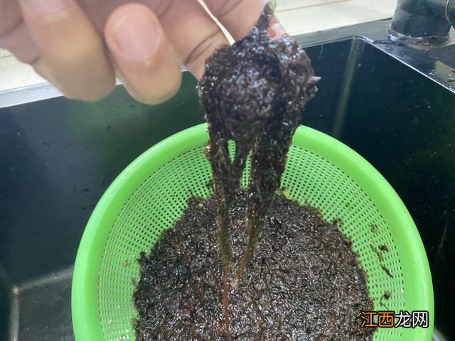 紫甘蓝的6种家常做法 紫菜怎么做