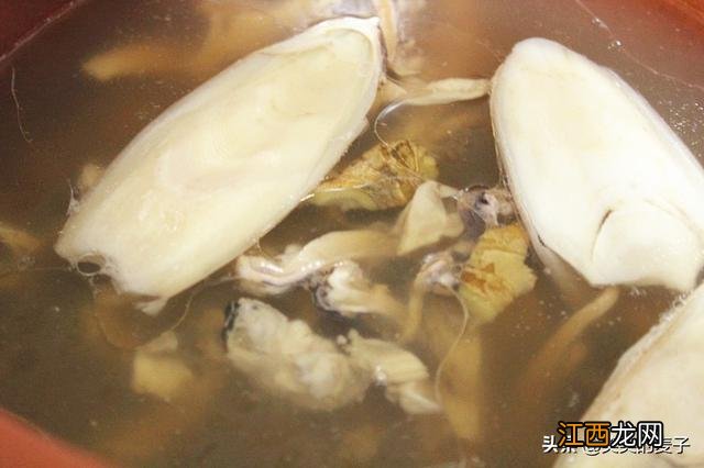 墨鱼骨头能炖汤吗怎么做 墨鱼骨头能炖汤吗
