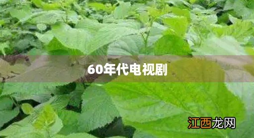 60年代电视剧大全 60年代电视剧