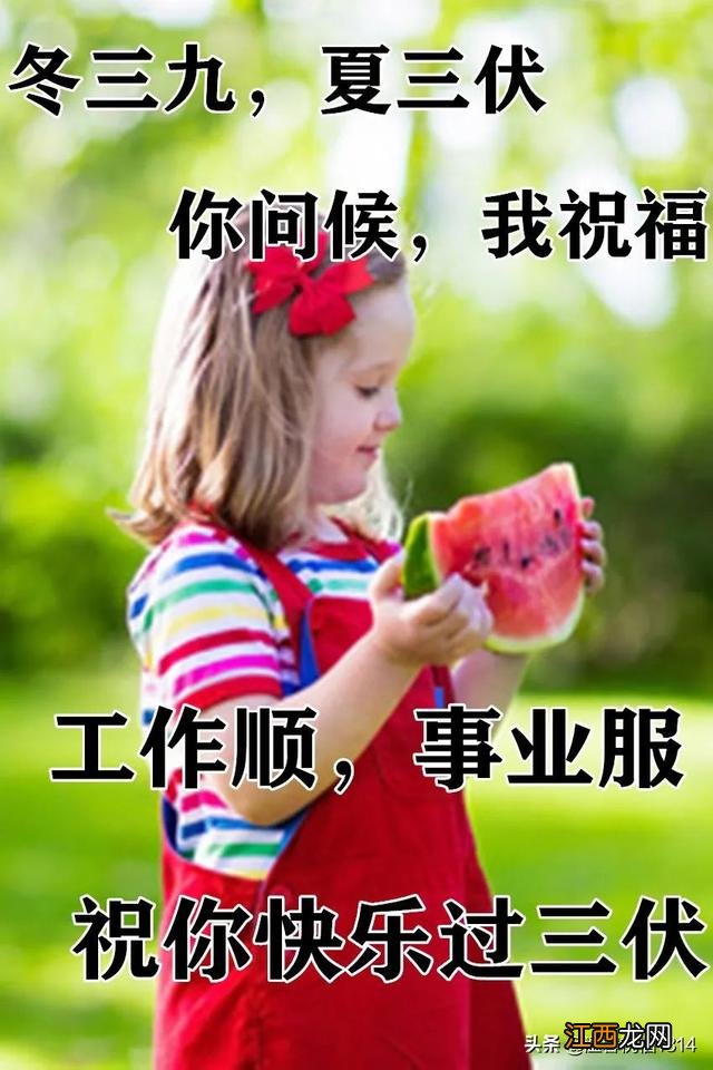 三伏天图片+文字 三伏天图片