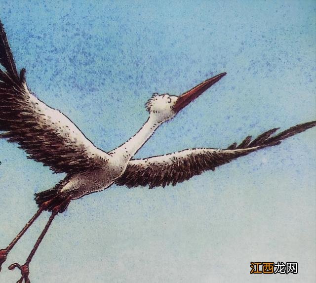 青蛙历险记作文 青蛙历险记