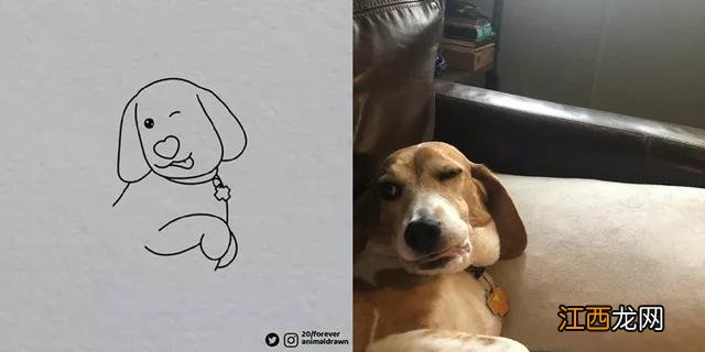 超梦简笔画 梦幻 超梦简笔画