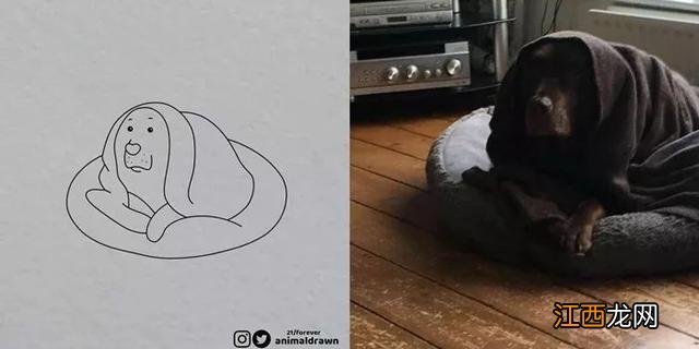 超梦简笔画 梦幻 超梦简笔画