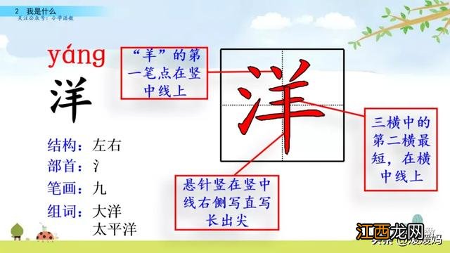 球拍的拼音声调 球拍的拼音